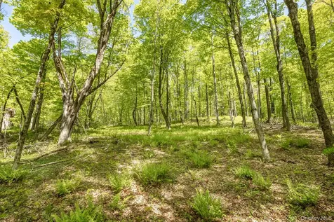 Overlook Drive Hillsdale NY 12529