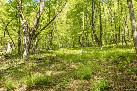 Overlook Drive Hillsdale NY 12529