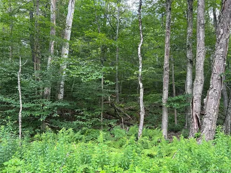 Frrost Valley Road Claryville NY 12725