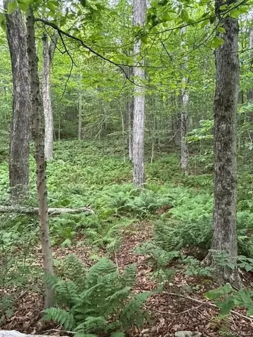 Frrost Valley Road Claryville NY 12725