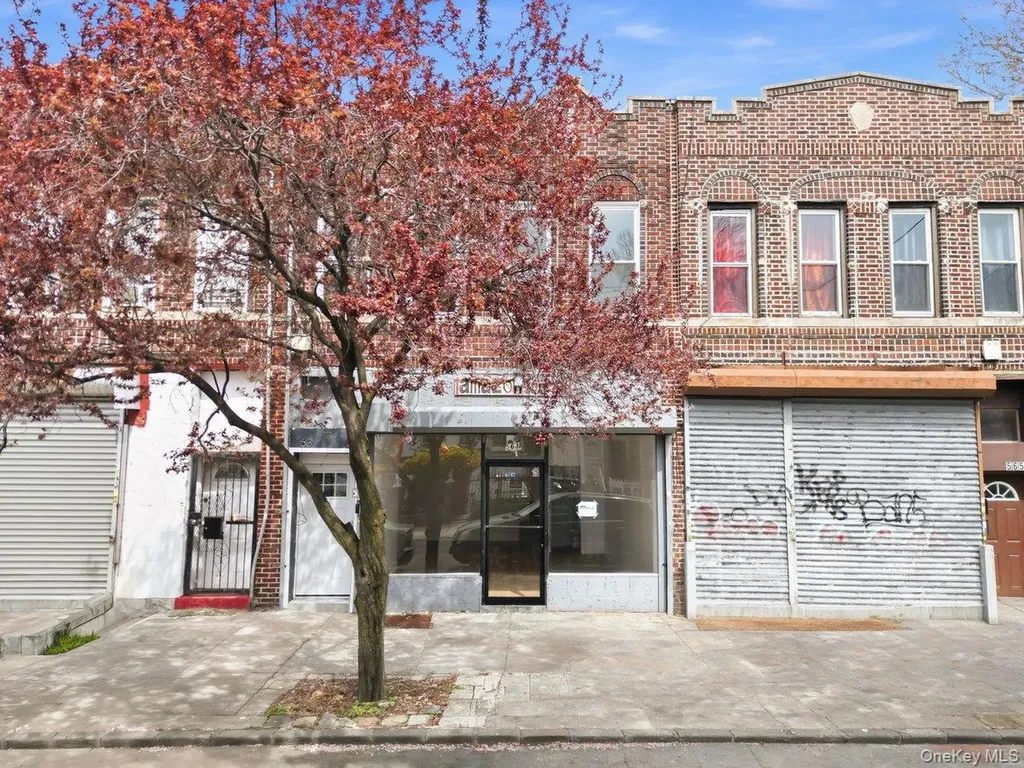 563 Glenmore Avenue Brooklyn NY 11207
