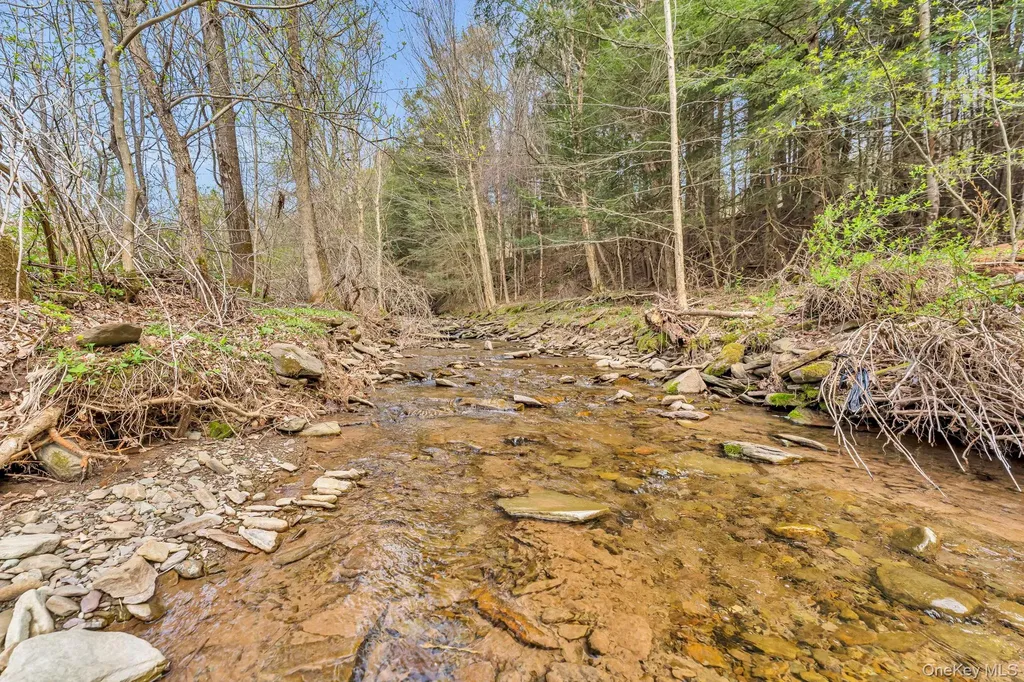 12082 State Highway 206 Walton NY 13856