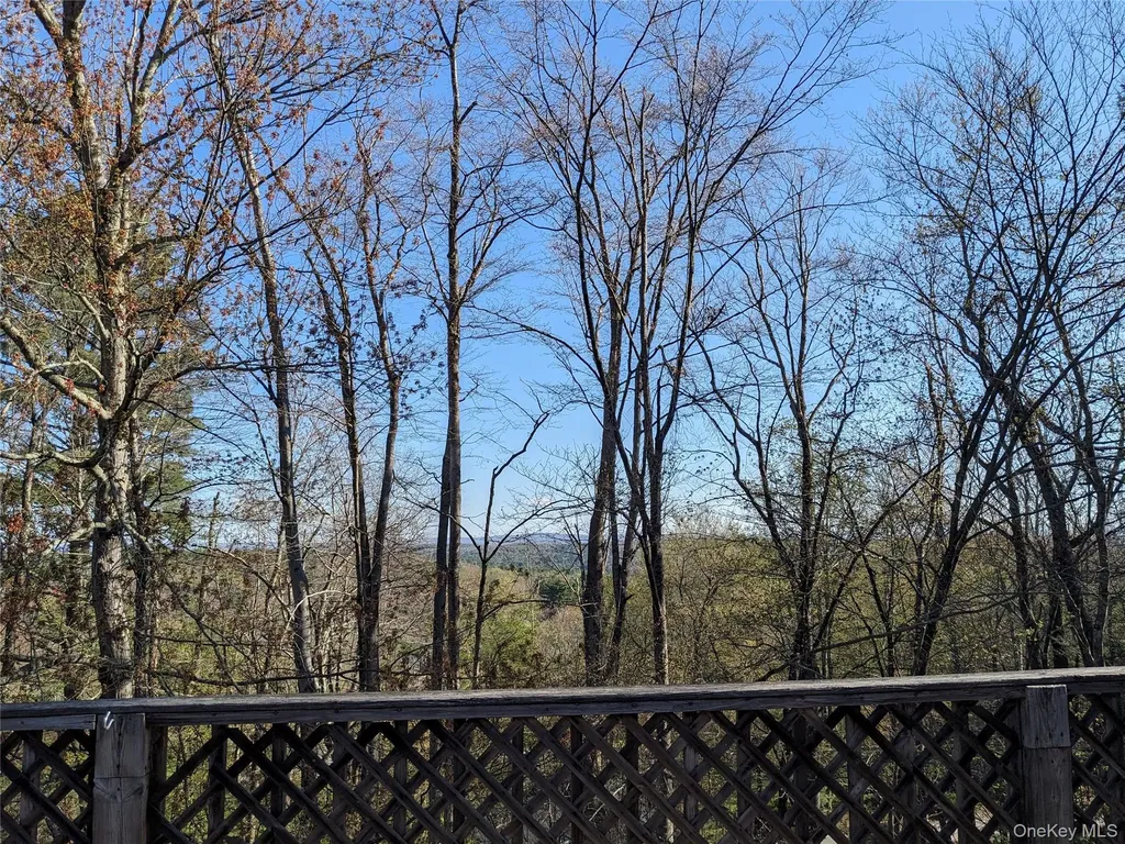 33 E Tusten Place Smallwood NY 12778