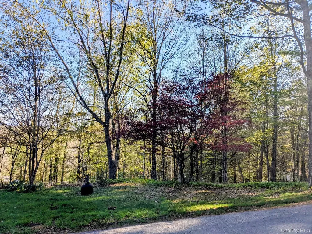 33 E Tusten Place Smallwood NY 12778