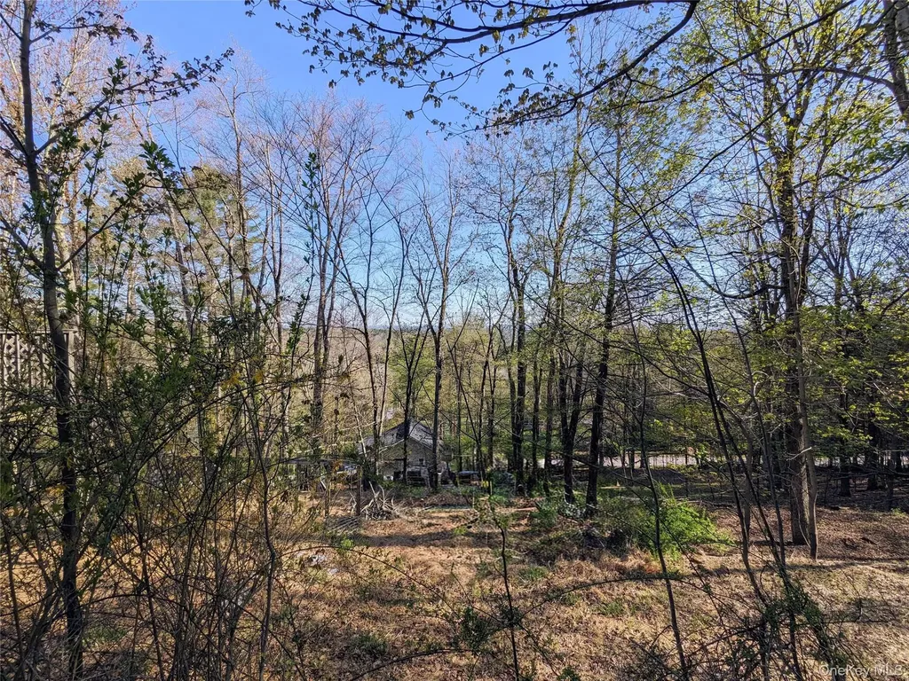 33 E Tusten Place Smallwood NY 12778