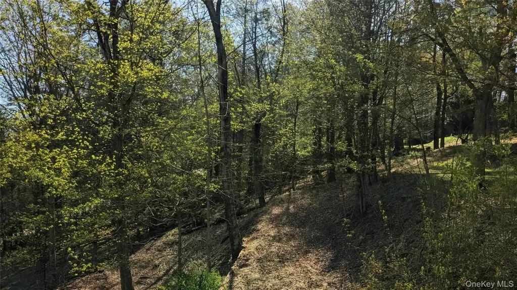 33 E Tusten Place Smallwood NY 12778
