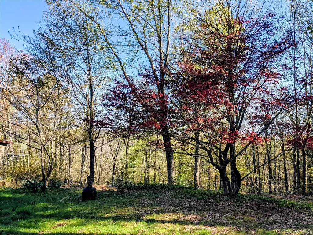 33 E Tusten Place Smallwood NY 12778