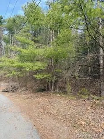 1304 Us Route 209 Cuddebackville NY 12729