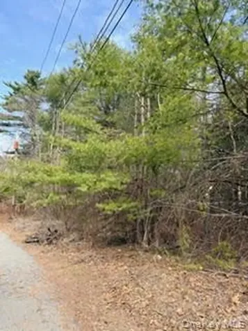 1304 Us Route 209 Cuddebackville NY 12729