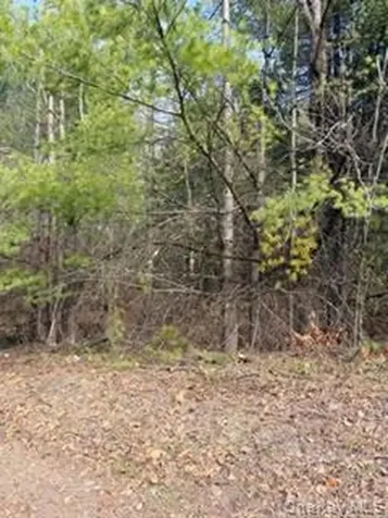 1304 Us Route 209 Cuddebackville NY 12729