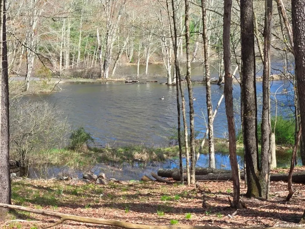 86 Plank Road Mongaup Valley NY 12762