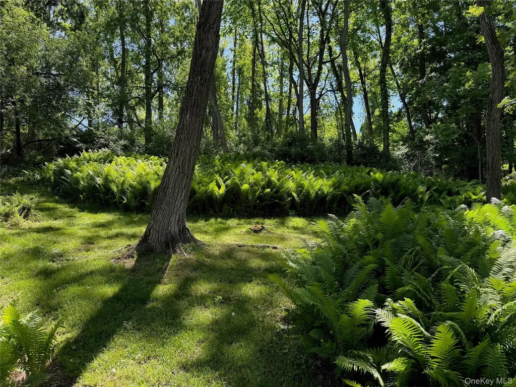 20 Taintor Way Millbrook NY 12545