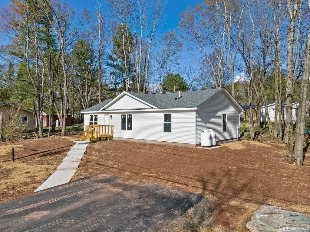 165 Park Avenue Monticello NY 12701