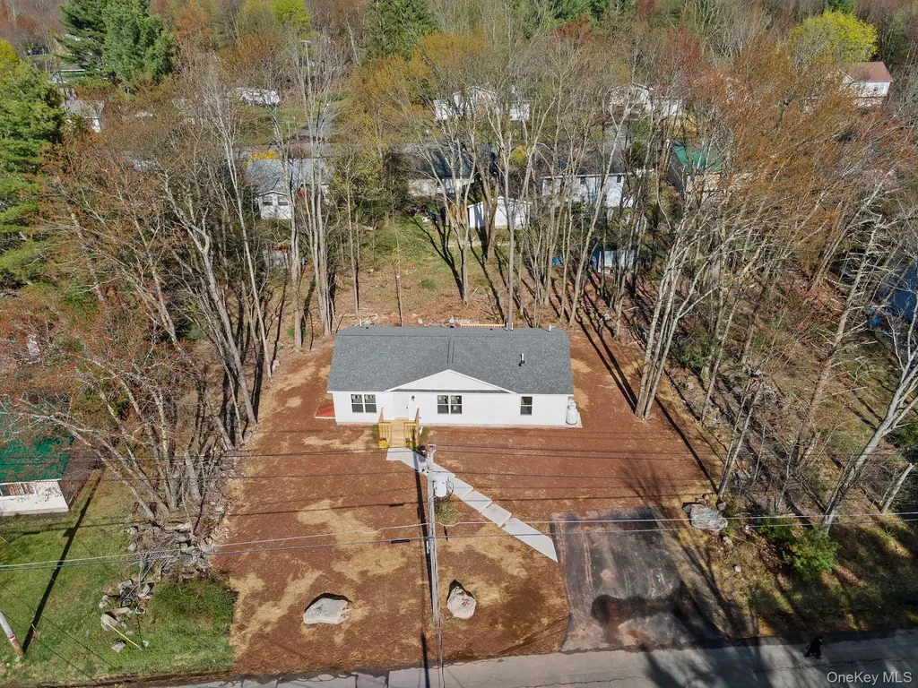 165 Park Avenue Monticello NY 12701