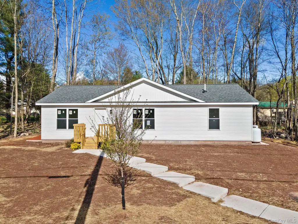 165 Park Avenue Monticello NY 12701