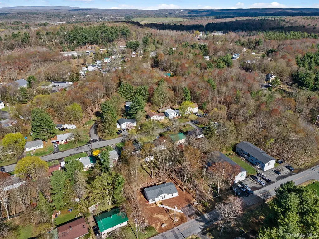 165 Park Avenue Monticello NY 12701