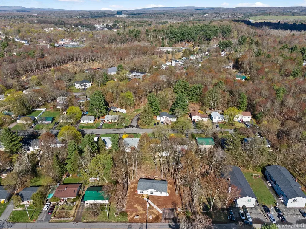 165 Park Avenue Monticello NY 12701