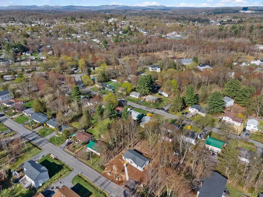 165 Park Avenue Monticello NY 12701