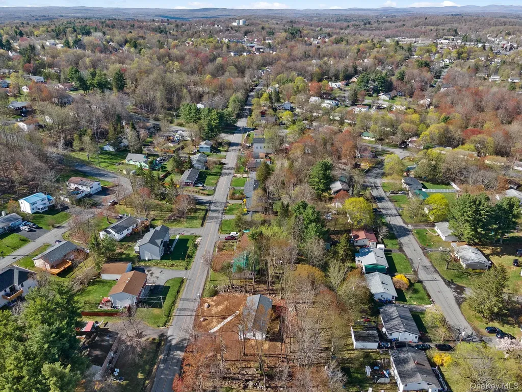 165 Park Avenue Monticello NY 12701