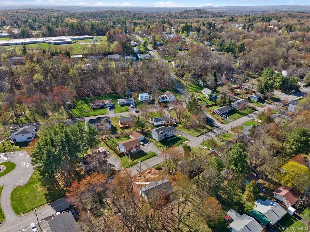 165 Park Avenue Monticello NY 12701