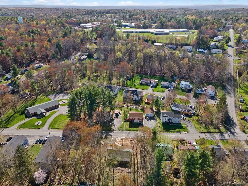 165 Park Avenue Monticello NY 12701