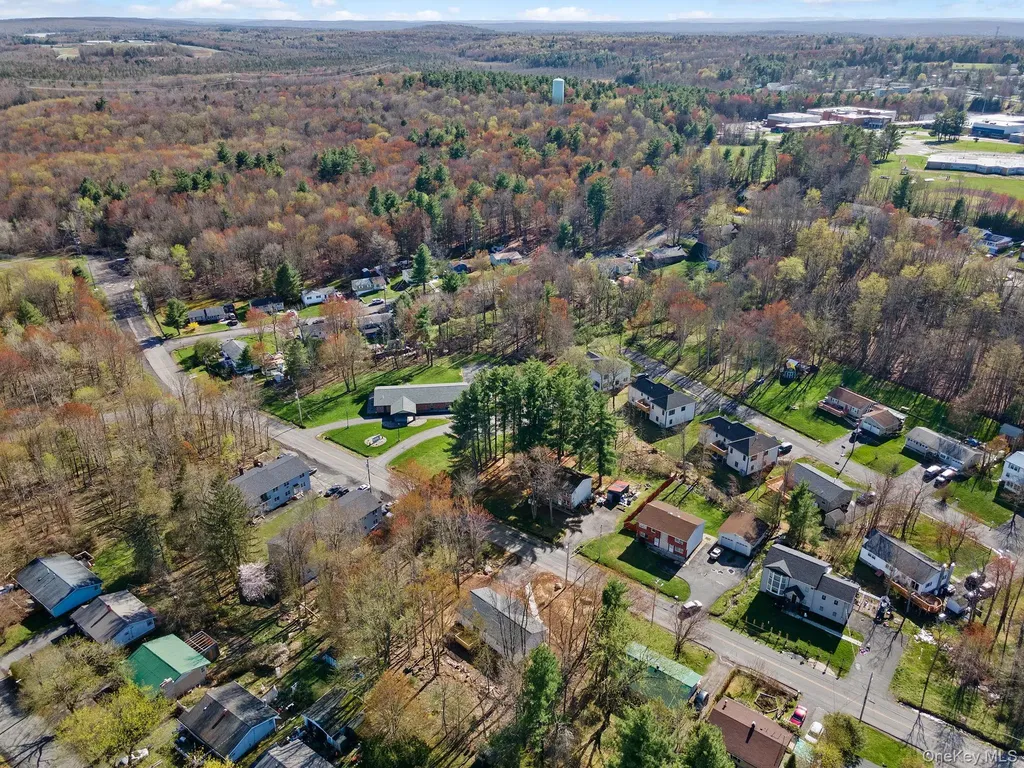 165 Park Avenue Monticello NY 12701