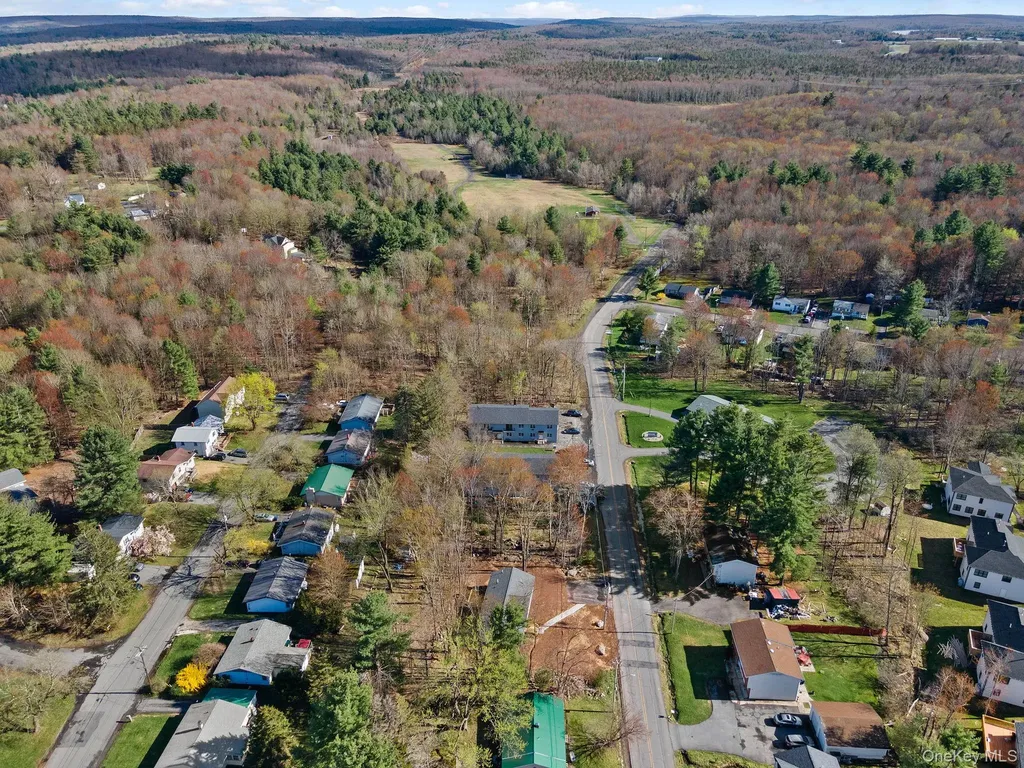 165 Park Avenue Monticello NY 12701