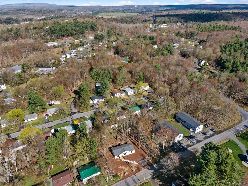 165 Park Avenue Monticello NY 12701