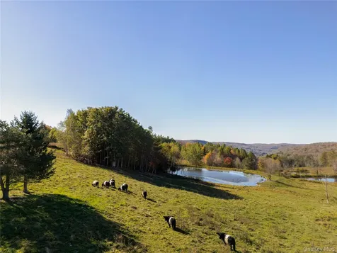 108 High Pond Road Cobleskill NY 12149