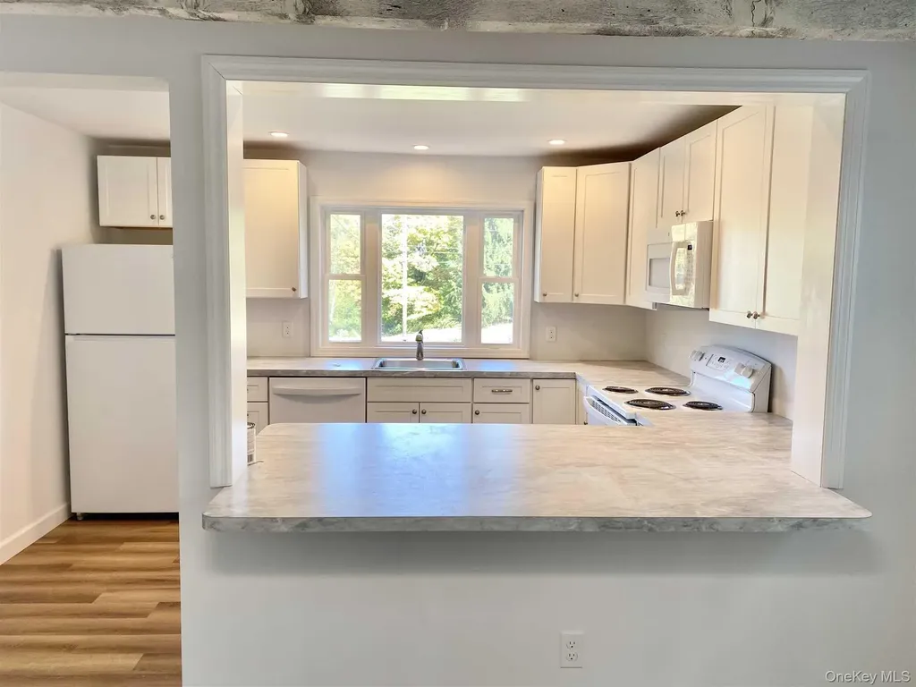 58 West Dorsey Hyde Park NY 12538