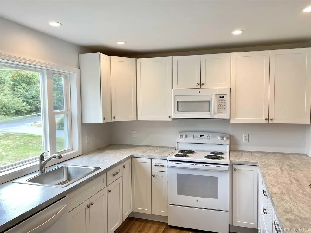 58 West Dorsey Hyde Park NY 12538