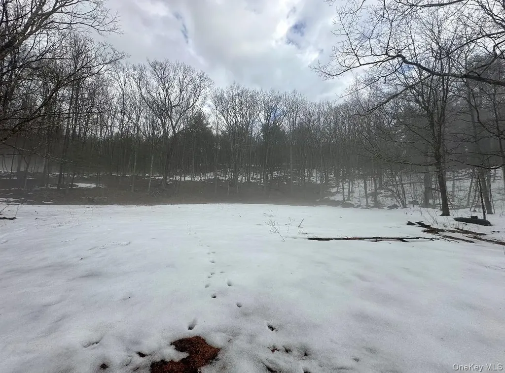 804 Hearts Content Road Cairo NY 12413