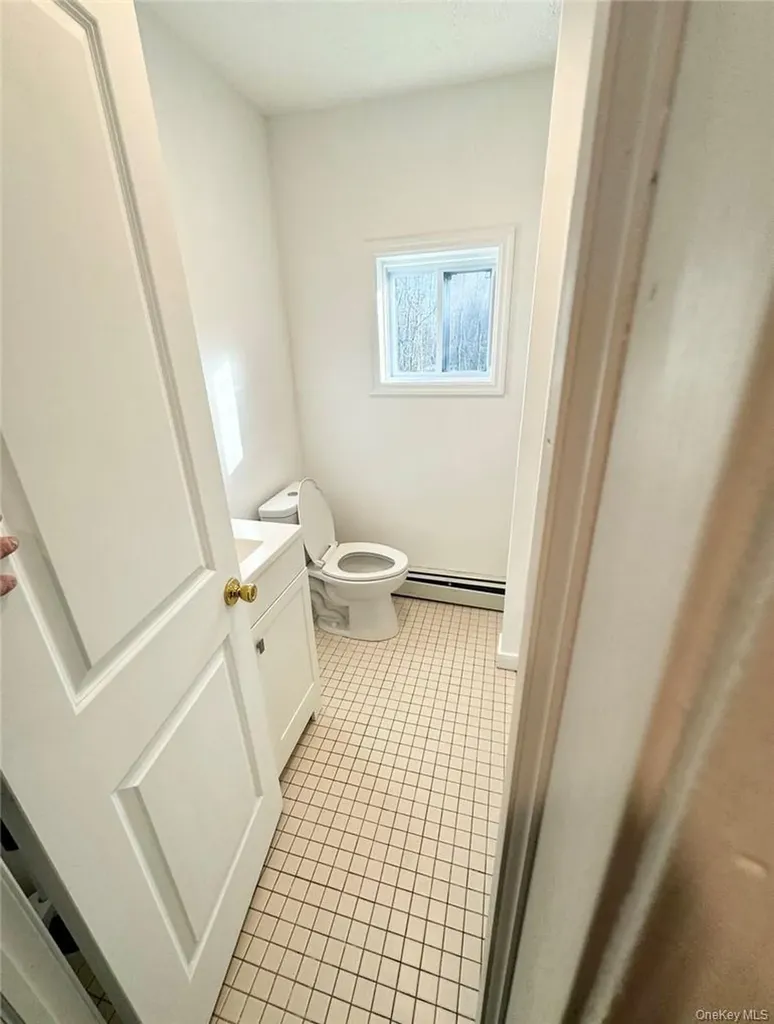 4931 State Route 55 Liberty NY 12783