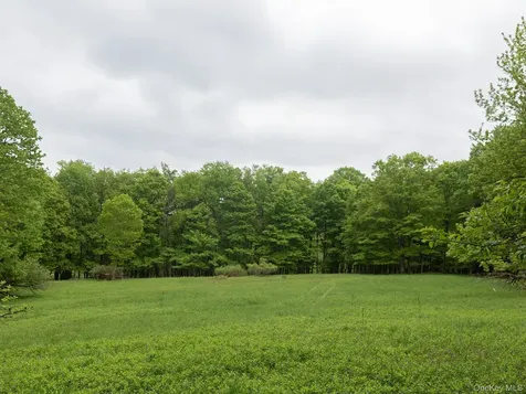 1 Hall Hill Road Parksville NY 12768