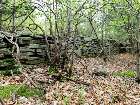 1 Hall Hill Road Parksville NY 12768
