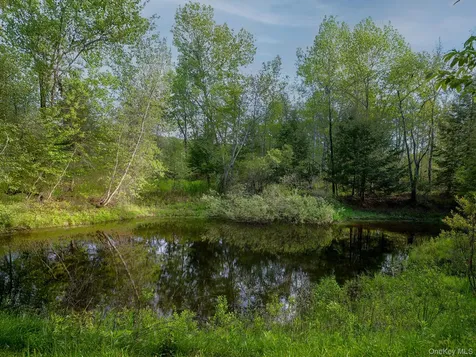 1 Hall Hill Road Parksville NY 12768