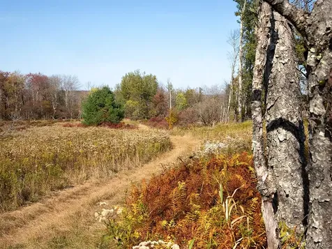 1 Hall Hill Road Parksville NY 12768