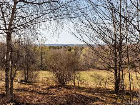 1 Hall Hill Road Parksville NY 12768
