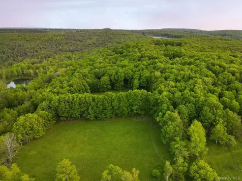 1 Hall Hill Road Parksville NY 12768