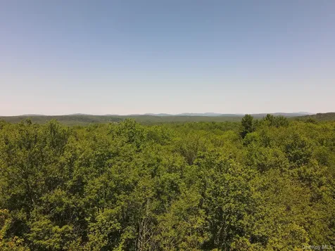 1 Hall Hill Road Parksville NY 12768