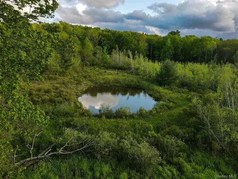 1 Hall Hill Road Parksville NY 12768
