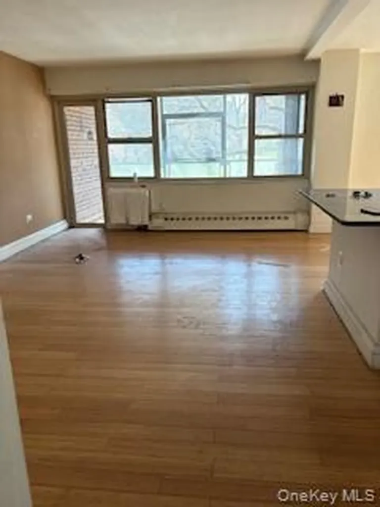 12161 Flatlands Avenue Brooklyn NY 11207