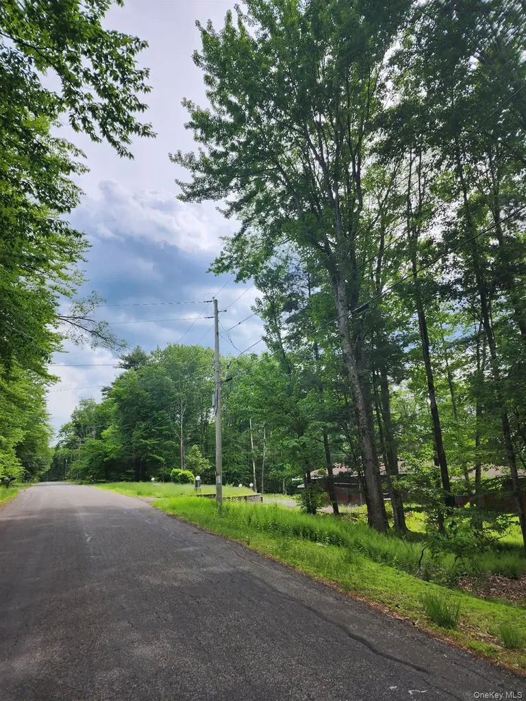 106 Starlight Drive Monticello NY 12701