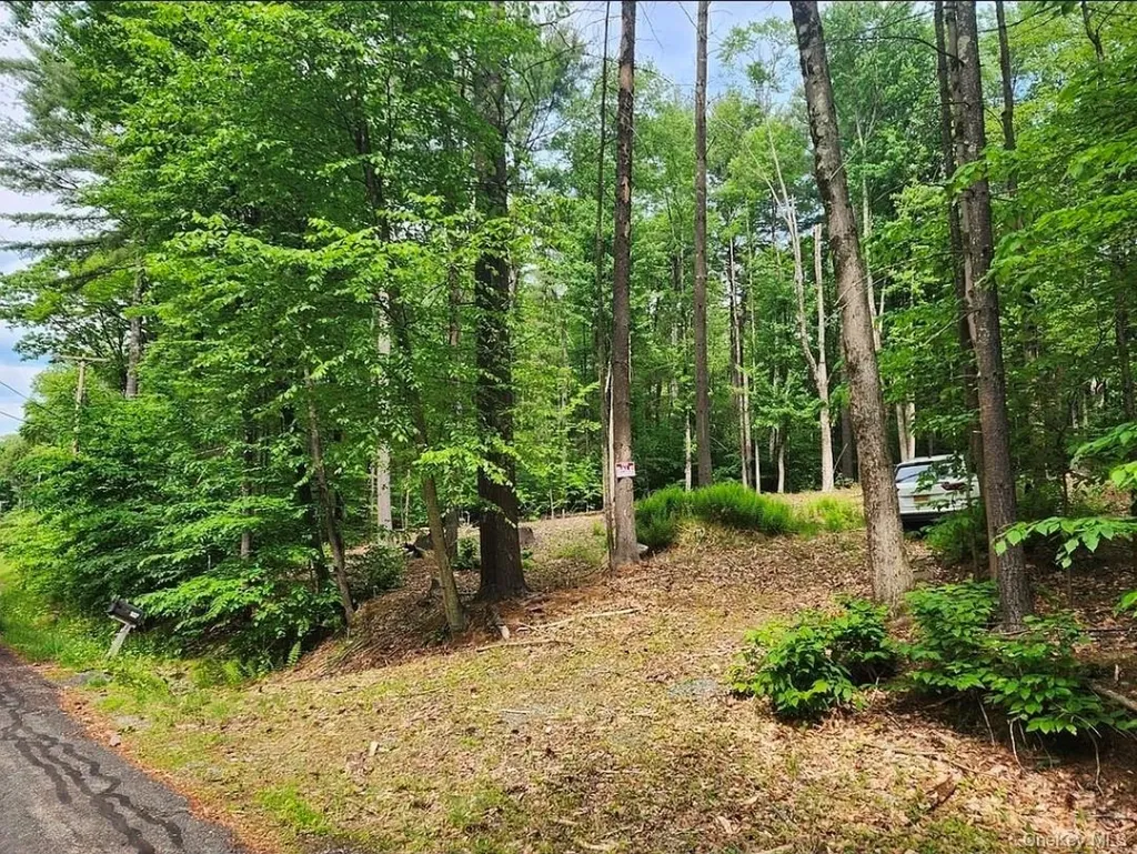 106 Starlight Drive Monticello NY 12701