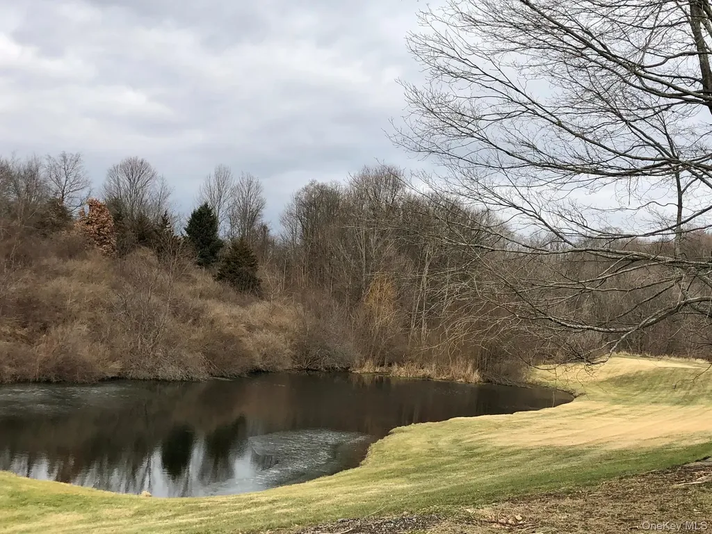 7 Carroll Boulevard Millbrook NY 12545
