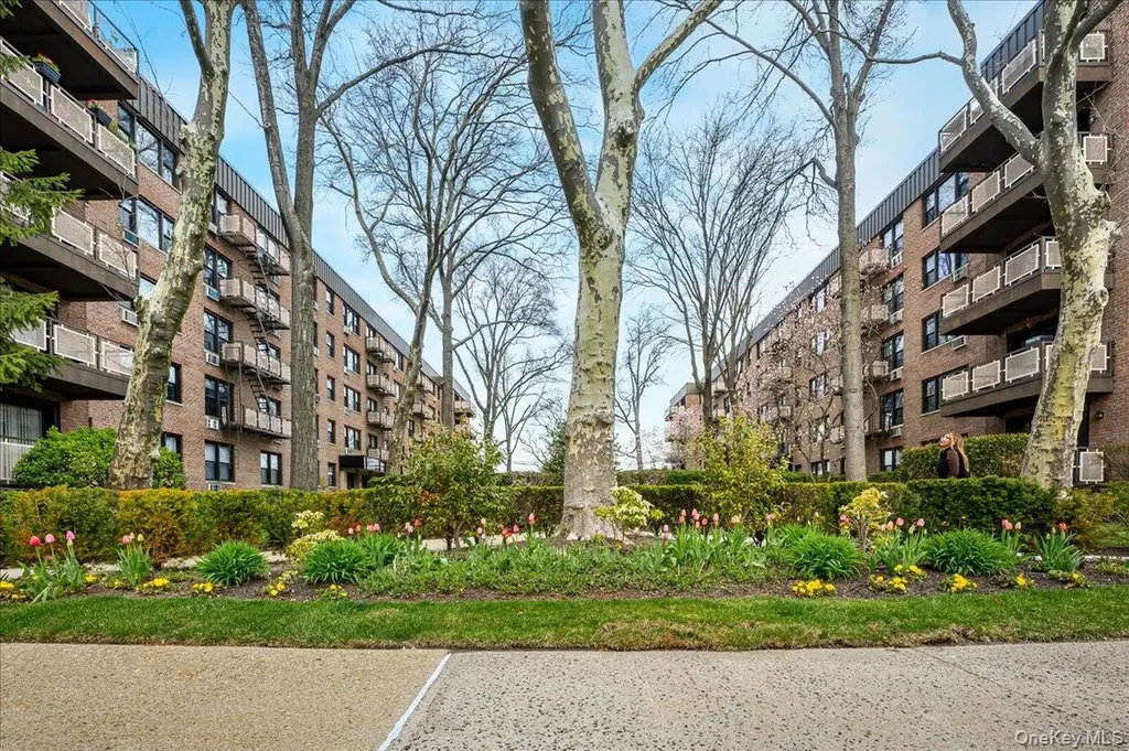 4 Birchwood Mineola NY 11501
