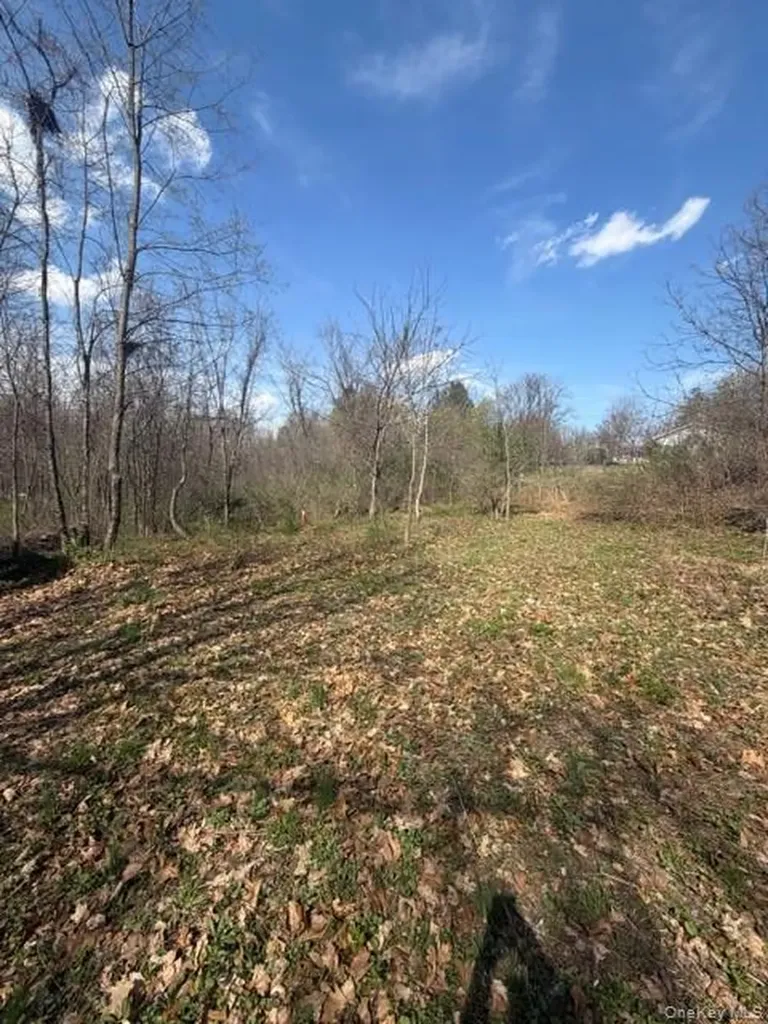 509 Route 9g Hyde Park NY 12538