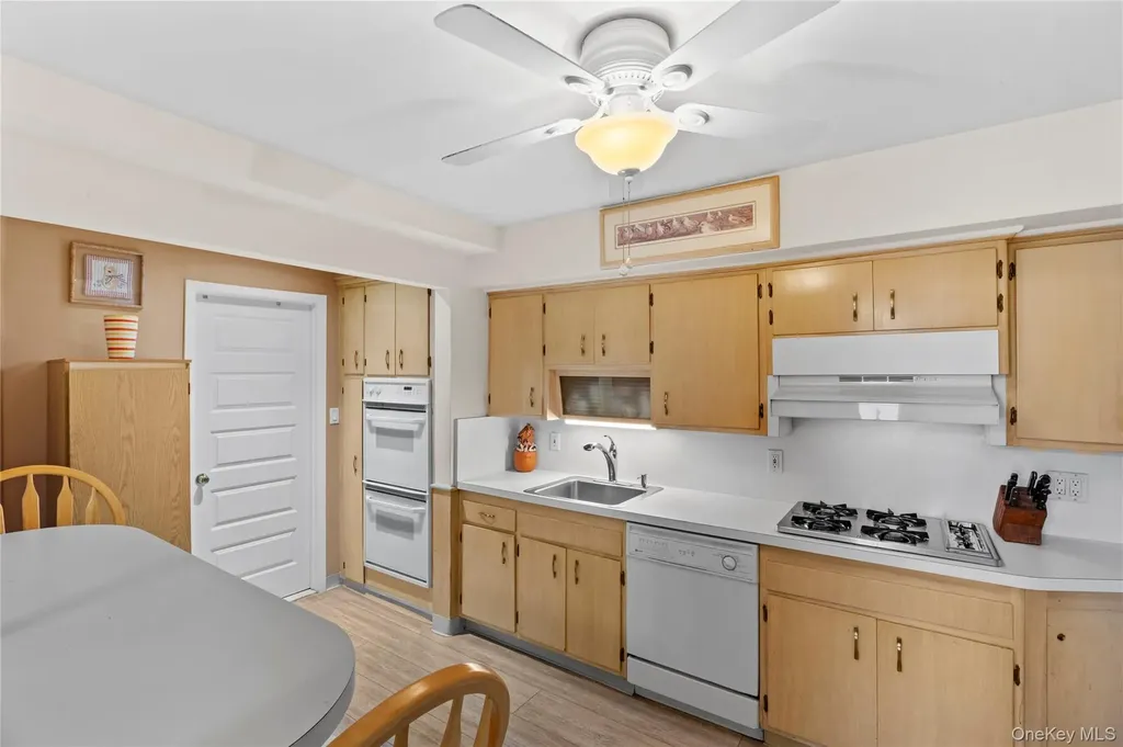 82 Cerenzia Boulevard Elmont NY 11003