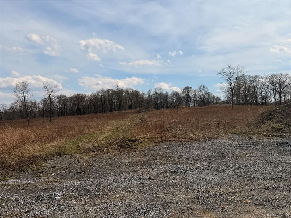 0 Route 55 Lagrangeville NY 12540