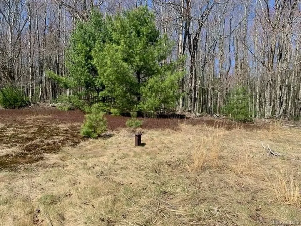 255 Wild Turnpike Rock Hill NY 12775